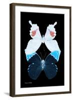 Miss Butterfly Duo Hermosana II - X-Ray Black Edition-Philippe Hugonnard-Framed Photographic Print