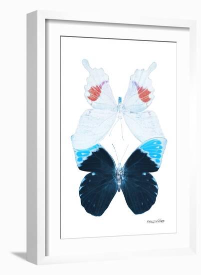 Miss Butterfly Duo Hermosana II - X-Ray White Edition-Philippe Hugonnard-Framed Photographic Print