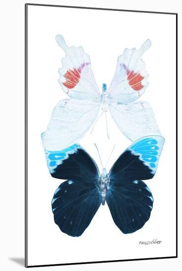 Miss Butterfly Duo Hermosana II - X-Ray White Edition-Philippe Hugonnard-Mounted Photographic Print