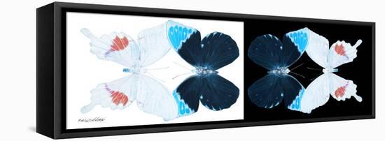 Miss Butterfly Duo Hermosana Pan - X-Ray B&W Edition-Philippe Hugonnard-Framed Stretched Canvas