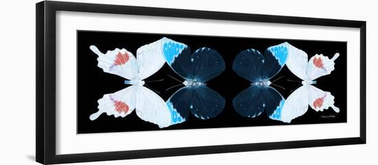 Miss Butterfly Duo Hermosana Pan - X-Ray Black Edition II-Philippe Hugonnard-Framed Photographic Print