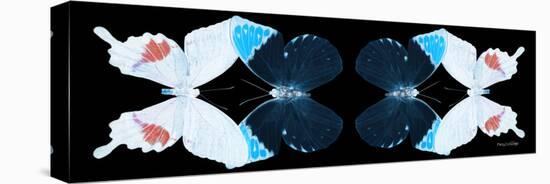 Miss Butterfly Duo Hermosana Pan - X-Ray Black Edition II-Philippe Hugonnard-Stretched Canvas