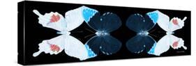 Miss Butterfly Duo Hermosana Pan - X-Ray Black Edition II-Philippe Hugonnard-Stretched Canvas
