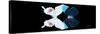 Miss Butterfly Duo Hermosana Pan - X-Ray Black Edition-Philippe Hugonnard-Stretched Canvas