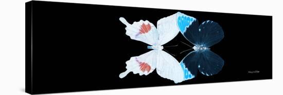 Miss Butterfly Duo Hermosana Pan - X-Ray Black Edition-Philippe Hugonnard-Stretched Canvas