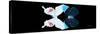 Miss Butterfly Duo Hermosana Pan - X-Ray Black Edition-Philippe Hugonnard-Stretched Canvas