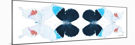 Miss Butterfly Duo Hermosana Pan - X-Ray White Edition II-Philippe Hugonnard-Mounted Photographic Print