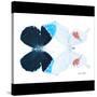 Miss Butterfly Duo Hermosana Sq - X-Ray B&W Edition-Philippe Hugonnard-Stretched Canvas