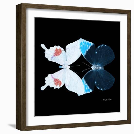 Miss Butterfly Duo Hermosana Sq - X-Ray Black Edition-Philippe Hugonnard-Framed Photographic Print
