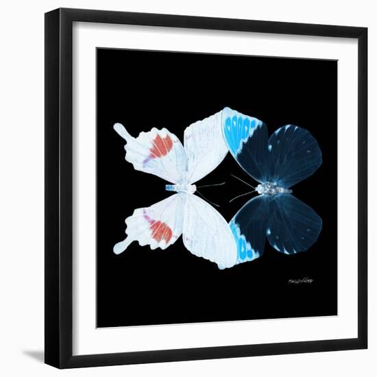 Miss Butterfly Duo Hermosana Sq - X-Ray Black Edition-Philippe Hugonnard-Framed Photographic Print