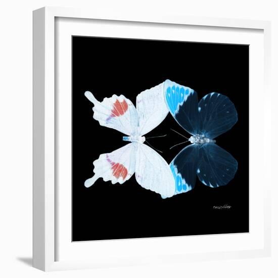 Miss Butterfly Duo Hermosana Sq - X-Ray Black Edition-Philippe Hugonnard-Framed Photographic Print