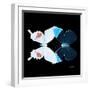 Miss Butterfly Duo Hermosana Sq - X-Ray Black Edition-Philippe Hugonnard-Framed Photographic Print