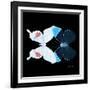 Miss Butterfly Duo Hermosana Sq - X-Ray Black Edition-Philippe Hugonnard-Framed Photographic Print