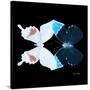 Miss Butterfly Duo Hermosana Sq - X-Ray Black Edition-Philippe Hugonnard-Stretched Canvas