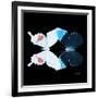 Miss Butterfly Duo Hermosana Sq - X-Ray Black Edition-Philippe Hugonnard-Framed Photographic Print