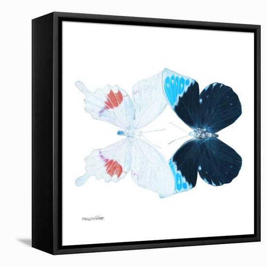 Miss Butterfly Duo Hermosana Sq - X-Ray White Edition-Philippe Hugonnard-Framed Stretched Canvas