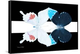 Miss Butterfly Duo Hermosana - X-Ray B&W Edition II-Philippe Hugonnard-Framed Stretched Canvas