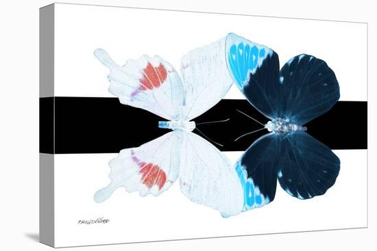 Miss Butterfly Duo Hermosana - X-Ray B&W Edition-Philippe Hugonnard-Stretched Canvas