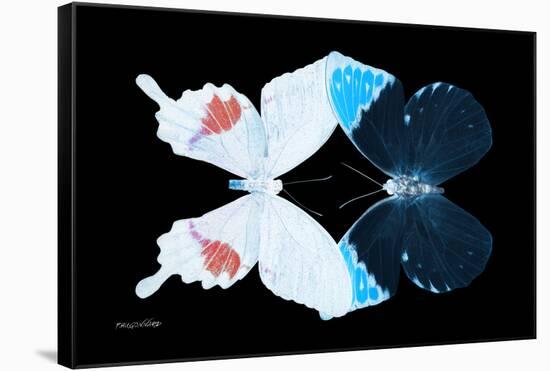 Miss Butterfly Duo Hermosana - X-Ray Black Edition-Philippe Hugonnard-Framed Stretched Canvas