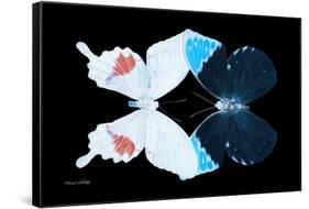 Miss Butterfly Duo Hermosana - X-Ray Black Edition-Philippe Hugonnard-Framed Stretched Canvas