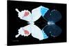 Miss Butterfly Duo Hermosana - X-Ray Black Edition-Philippe Hugonnard-Stretched Canvas