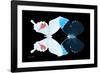 Miss Butterfly Duo Hermosana - X-Ray Black Edition-Philippe Hugonnard-Framed Photographic Print