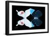 Miss Butterfly Duo Hermosana - X-Ray Black Edition-Philippe Hugonnard-Framed Photographic Print