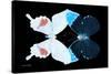 Miss Butterfly Duo Hermosana - X-Ray Black Edition-Philippe Hugonnard-Stretched Canvas