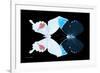Miss Butterfly Duo Hermosana - X-Ray Black Edition-Philippe Hugonnard-Framed Photographic Print