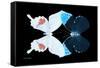 Miss Butterfly Duo Hermosana - X-Ray Black Edition-Philippe Hugonnard-Framed Stretched Canvas