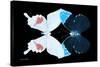 Miss Butterfly Duo Hermosana - X-Ray Black Edition-Philippe Hugonnard-Stretched Canvas