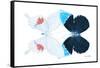 Miss Butterfly Duo Hermosana - X-Ray White Edition-Philippe Hugonnard-Framed Stretched Canvas