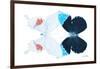 Miss Butterfly Duo Hermosana - X-Ray White Edition-Philippe Hugonnard-Framed Photographic Print