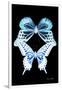 Miss Butterfly Duo Melaxhus II - X-Ray Black Edition-Philippe Hugonnard-Framed Photographic Print