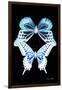 Miss Butterfly Duo Melaxhus II - X-Ray Black Edition-Philippe Hugonnard-Framed Photographic Print