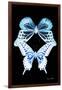 Miss Butterfly Duo Melaxhus II - X-Ray Black Edition-Philippe Hugonnard-Framed Photographic Print