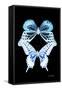 Miss Butterfly Duo Melaxhus II - X-Ray Black Edition-Philippe Hugonnard-Framed Stretched Canvas