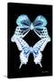 Miss Butterfly Duo Melaxhus II - X-Ray Black Edition-Philippe Hugonnard-Stretched Canvas