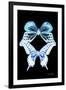 Miss Butterfly Duo Melaxhus II - X-Ray Black Edition-Philippe Hugonnard-Framed Premium Photographic Print