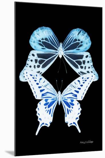 Miss Butterfly Duo Melaxhus II - X-Ray Black Edition-Philippe Hugonnard-Mounted Premium Photographic Print