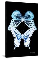 Miss Butterfly Duo Melaxhus II - X-Ray Black Edition-Philippe Hugonnard-Stretched Canvas