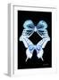 Miss Butterfly Duo Melaxhus II - X-Ray Black Edition-Philippe Hugonnard-Framed Photographic Print