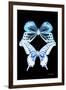 Miss Butterfly Duo Melaxhus II - X-Ray Black Edition-Philippe Hugonnard-Framed Photographic Print