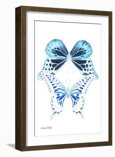 Miss Butterfly Duo Melaxhus II - X-Ray White Edition-Philippe Hugonnard-Framed Photographic Print