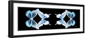 Miss Butterfly Duo Melaxhus Pan - X-Ray Black Edition II-Philippe Hugonnard-Framed Photographic Print