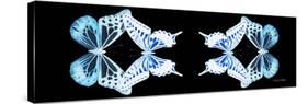 Miss Butterfly Duo Melaxhus Pan - X-Ray Black Edition II-Philippe Hugonnard-Stretched Canvas