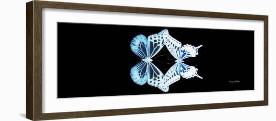 Miss Butterfly Duo Melaxhus Pan - X-Ray Black Edition-Philippe Hugonnard-Framed Photographic Print