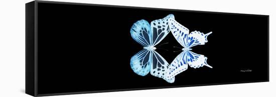 Miss Butterfly Duo Melaxhus Pan - X-Ray Black Edition-Philippe Hugonnard-Framed Stretched Canvas