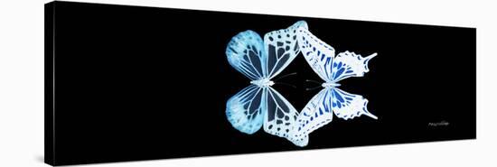 Miss Butterfly Duo Melaxhus Pan - X-Ray Black Edition-Philippe Hugonnard-Stretched Canvas