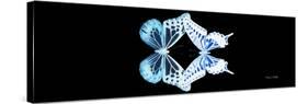 Miss Butterfly Duo Melaxhus Pan - X-Ray Black Edition-Philippe Hugonnard-Stretched Canvas